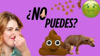 Excretion in Animals - Vertebrates and Invertebrates