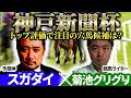 【神戸新聞杯2026】トップ評価で注目の穴馬候補は？ 予想神「スガダイ」×競馬ライター「菊池グリグリ」の注目馬を大公開！