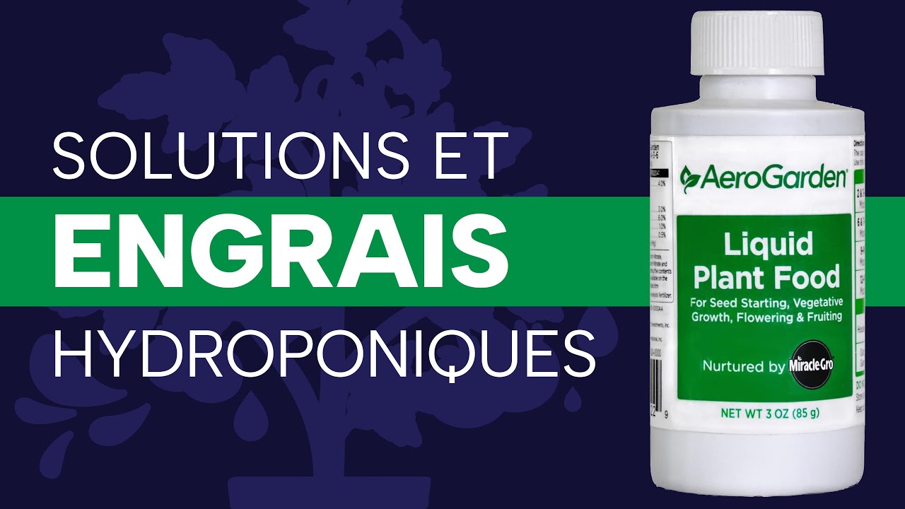 Engrais et solutions hydroponiques : comment booster la croissance de vos plantes ?
