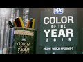 Experience Night Watch - Our 2019 Color of the Year