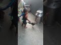 #rowdyboy