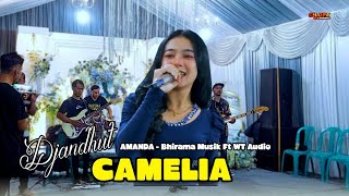 Camelia  Bhirama Musik  Jabon Garut Kasembon Malang