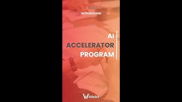 AI ACCELERATOR PROGRAM - Wildebit