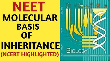 Molecular Basis of Inheritance/Class 12/NCERT/Chapter 06/Genetics/Quick Revision Series/AIIMS, NEET