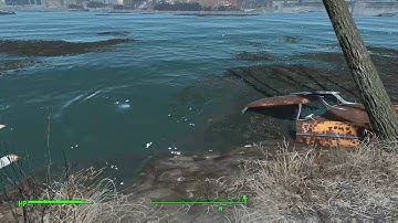 Fallout 4 Water Bug