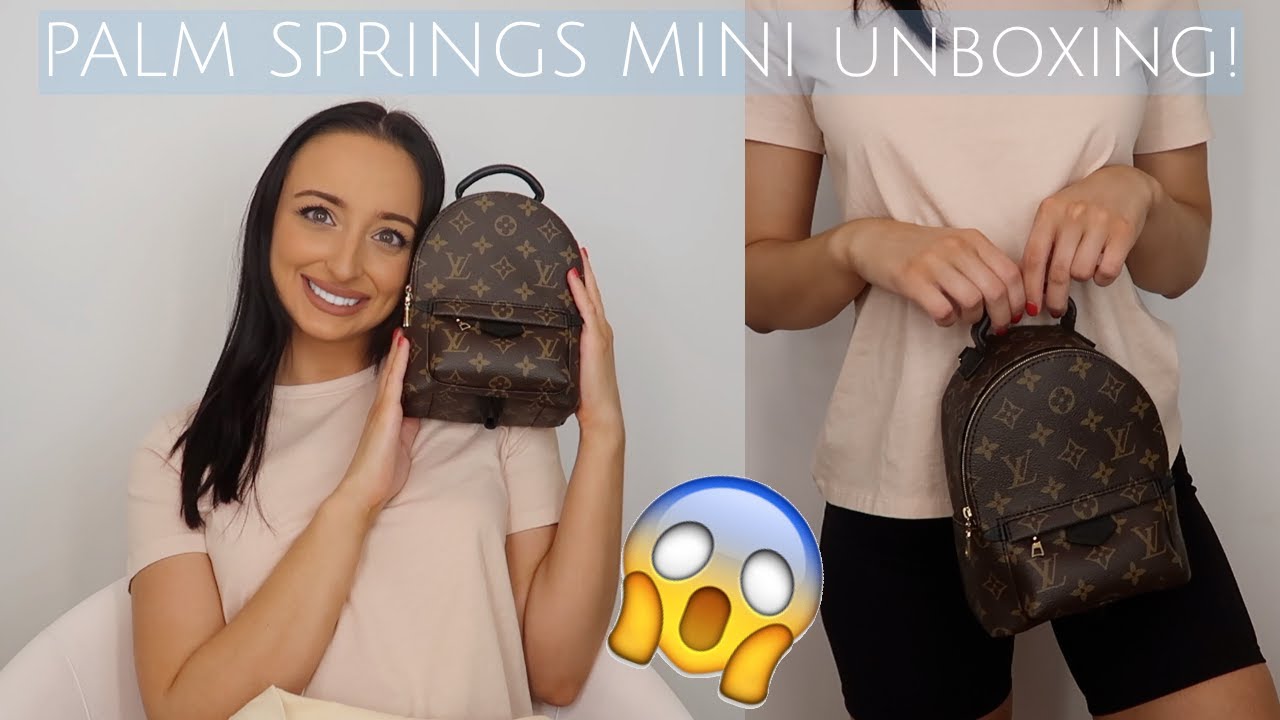 Thoughts on Louis Vuitton Palm Springs Mini? : r/handbags