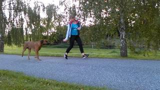 WP 20140912 006