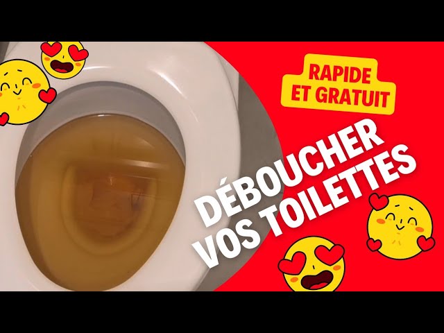 Débouchez vos toilettes avec une bouteille en plastique - Benin Web TV