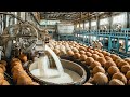 DISCOVER How Coconut Milk Is MASS Produced In A Factory 