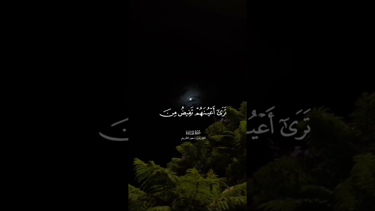 القارئ سعود الشريم سورة المائدة