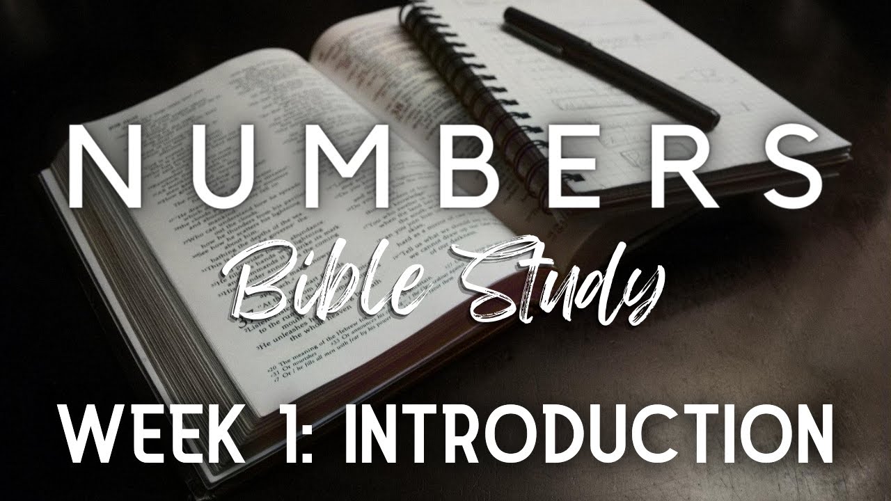 Numbers 6 23 24 Niv