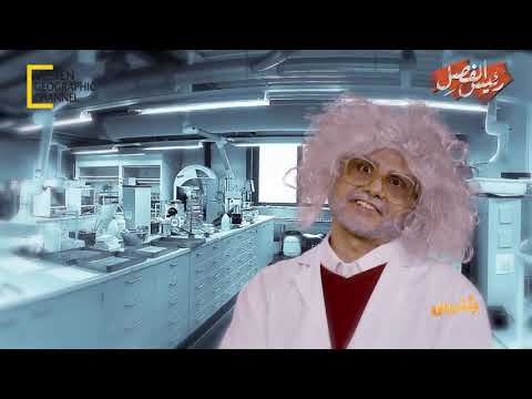 مشاريع الإمارات في جنوب اليمن رئيس الفصل ح 8