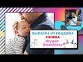 ШИКАРНАЯ ВЫПИСКА ИЗ РОДДОМА ЛЕЛЕКА. КИЕВ