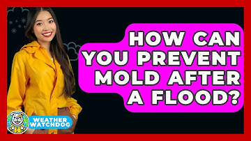 How Can You Prevent Mold After A Flood? - Weather Watchdog