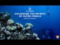 Unlocking the Secrets of Super Corals - Teaser 1