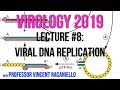 Virology Lectures 2019 #8: Viral DNA Replication