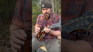 The Bluest Grass - Little Cabin Home on the Hill #bluegrass #mandolin #acoustic #maine