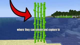 Every minecraft player explained in 7 minutes