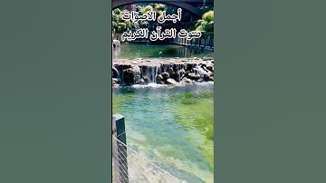 قران كريم بصوت جميل للشيخ عبد الرحمن مسعد #القرآن_الكريم_راحة_نفسية #القرآن_الكريم #اكسبلور