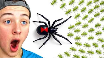 1,000 ANTS vs 1 BLACK WIDOW, Who Would Win?
