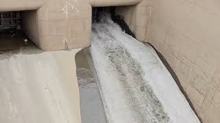 Opening A Dam Spillway After Years Thousands Of Logs Debris Released