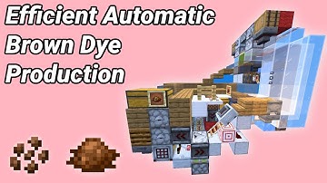 The Ultimate Cocoa Bean Farm Design: The BEST You