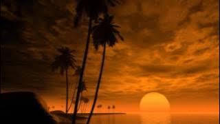 DETEN LA NOCHE - LOS 007