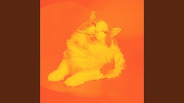 Soulful Ambience for Lazy Cat Days