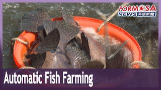 Smart innovation takes the sweat out of farming grouper fish