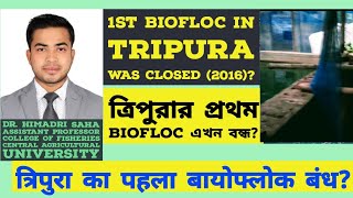 1st Biofloc System of Tripura to simple system|Monosex Tilapia।Biofloc failed?(2020)