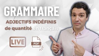 QUELQUES, PLUSIEURS, TOUT, AUCUN... les quantités indéfinies en français !