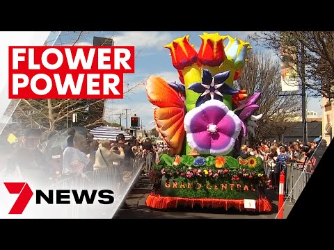 Carnival of flowers grand parade returns to toowoomba | 7news
