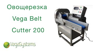 Как нарезать капусту, зелень, овощи, салаты! Промышленная овощерезка  Vega Belt Cutter 200