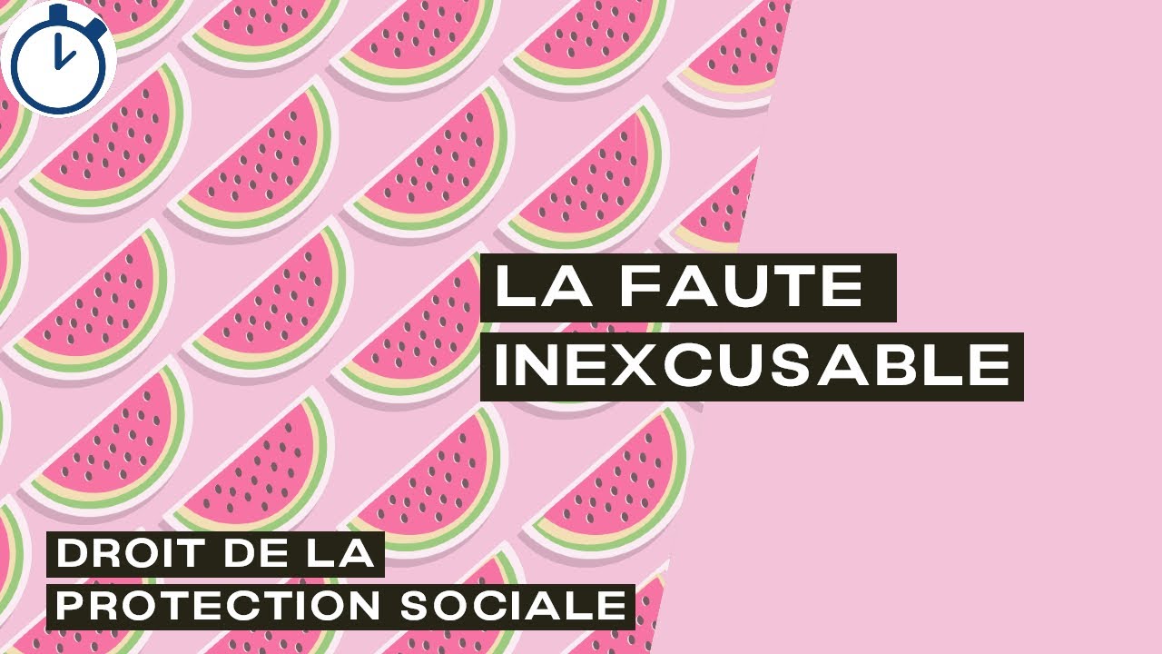 La Faute Inexcusable de l'employeur : [Droit de la Protection Sociale]