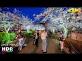 Tokyo Walk During Peak Cherry Blossom Season | Nippori to Ueno • 4K HDR