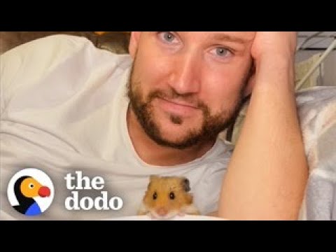 Man And His Hamster Have A Special Bromance | The Dodo