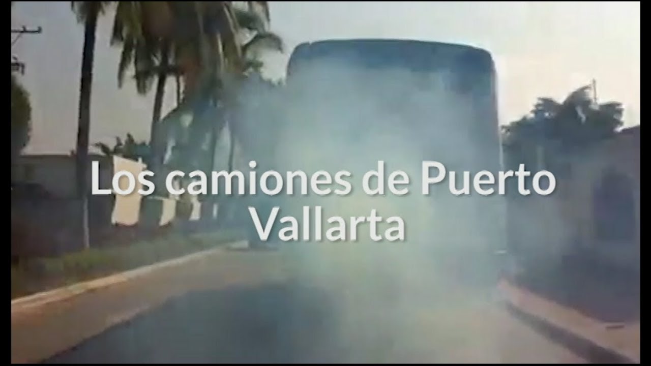 Los camiones de Puerto Vallarta (video reportaje) Vallarta Independiente YouTube Los camiones de Puerto Vallarta (video reportaje) Vallarta Independiente YouTube