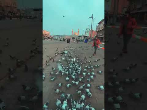 بعضي وكلي محمد جعفر غندور