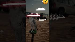 يابنيه كلك حلل