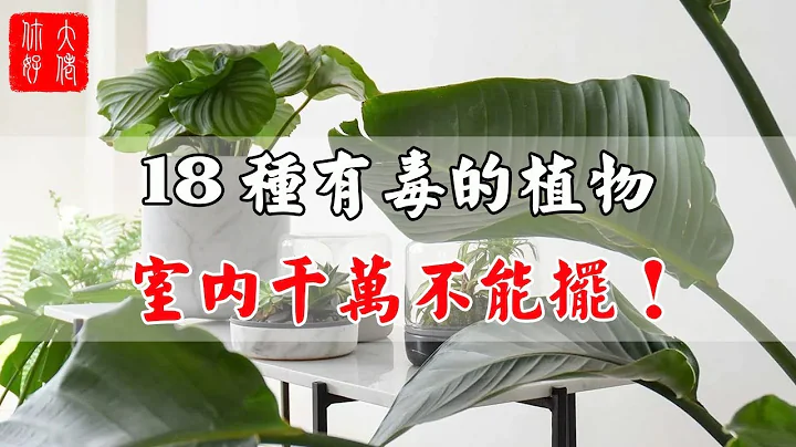 【植物風水】18種有毒的植物，室內千萬不能放，很多人不知道！ - 天天要聞