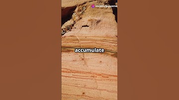 Discover the Three Types of Rocks! #Geology #TypesOfRocks #EarthScience  #rockhounding #geology