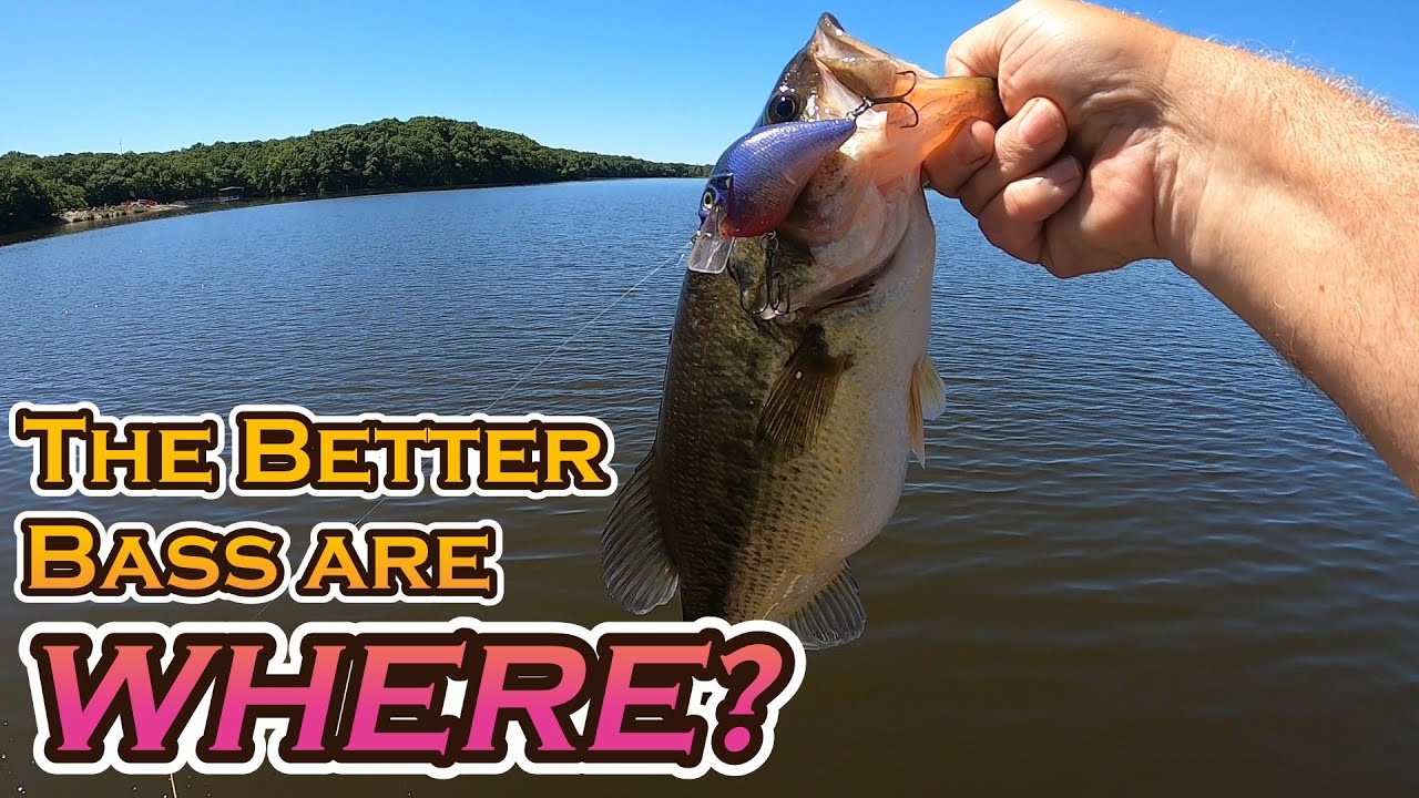 Generalizing in Bass Fishing, and Proving a POINT
