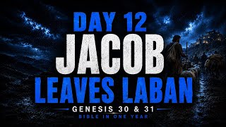 Day 12 | Jacob Leaves Laban | Bible in One Year | Genesis 30 & 31 Explained)