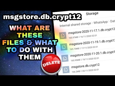 msgstore.db.crypt12 WhatsApp Database Files - How to Delete & Make Space | The Indian Freelancer