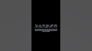 سورة الأعراف:الآيات[٥٧-٥٨]#القرآن_الكريم _#الفرقان _#سورة_الأعراف _#ياسر_الدوسري #القران_الكريم