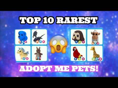 TOP 10 *RAREST* ADOPT ME PETS!! Roblox, Adopt Me! - YouTube