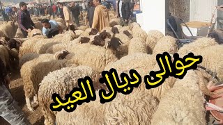 الله على الخروف لبركي06/07/2021 أحسن سوق فسلالة تيمحضيت
