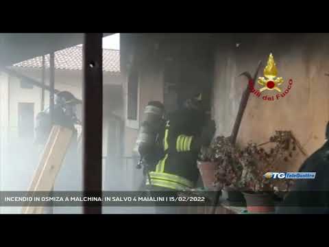 INCENDIO IN OSMIZA A MALCHINA: IN SALVO 4 MAIALINI | 15/02/2022