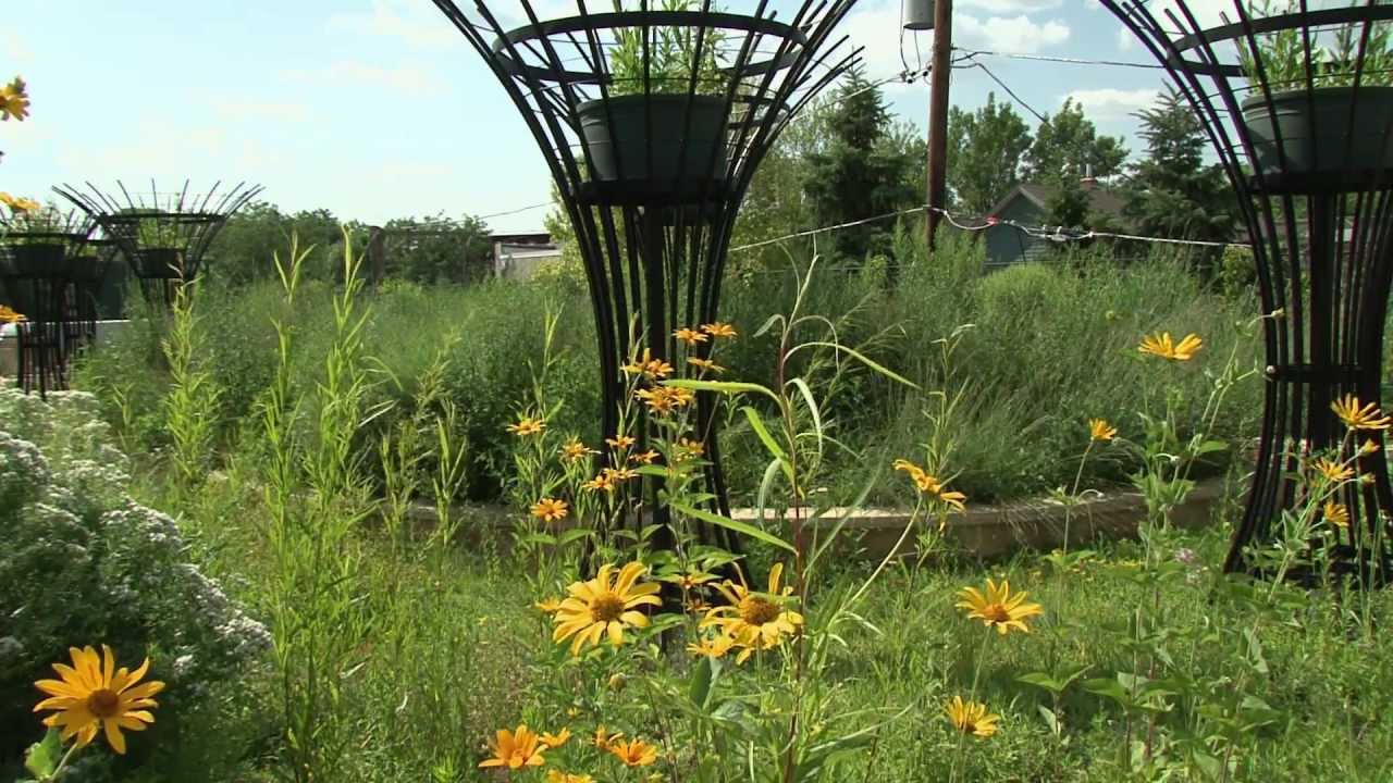 R.C. Knox Memorial Garden Green Roof | Saint Paul Minnesota