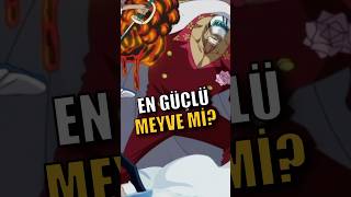 Akainunun Lav Meyvesi Gerçekten One Piecein En Güçlüsü Mü?